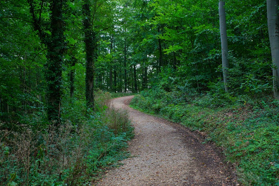 Walking Routes for Every Fitness Level at Methley Park