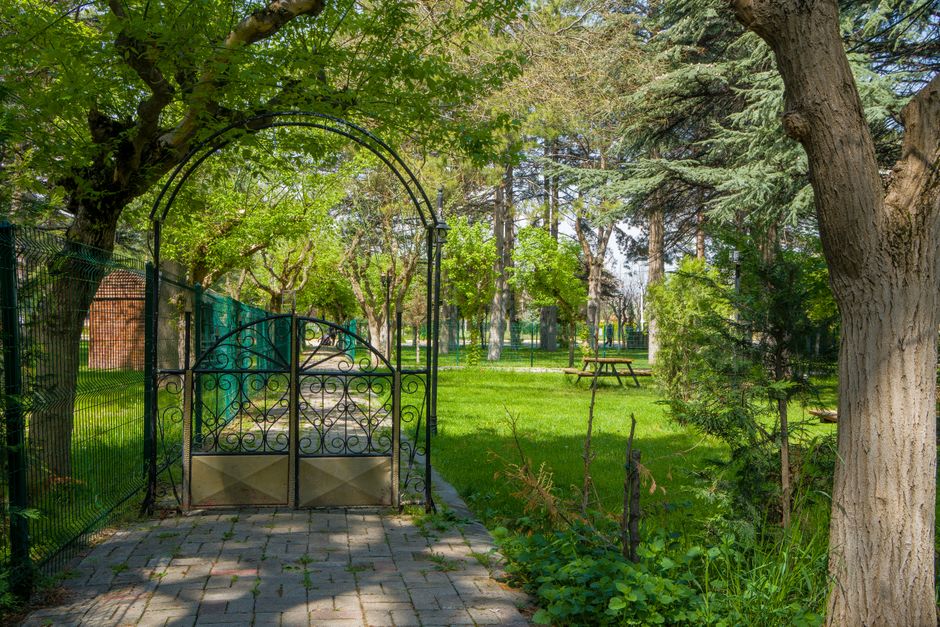 Planning Your First Visit to Methley Park